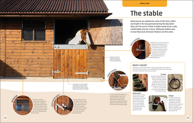 Horses & Ponies interior 7 (ISBN 9780241446638) [onix-asset:e1028be9f4ccd8880048847808fda96a657b78b627fcea50c1ae41809d7f007a]