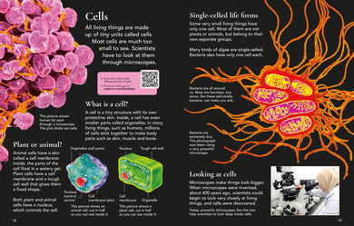 First Encyclopedia of Science interior 1 (ISBN 9781836041627) [onix-asset:5168eefef0e847b46968a1439ce03a6e559759c236272efea39d733cc19b8d88]