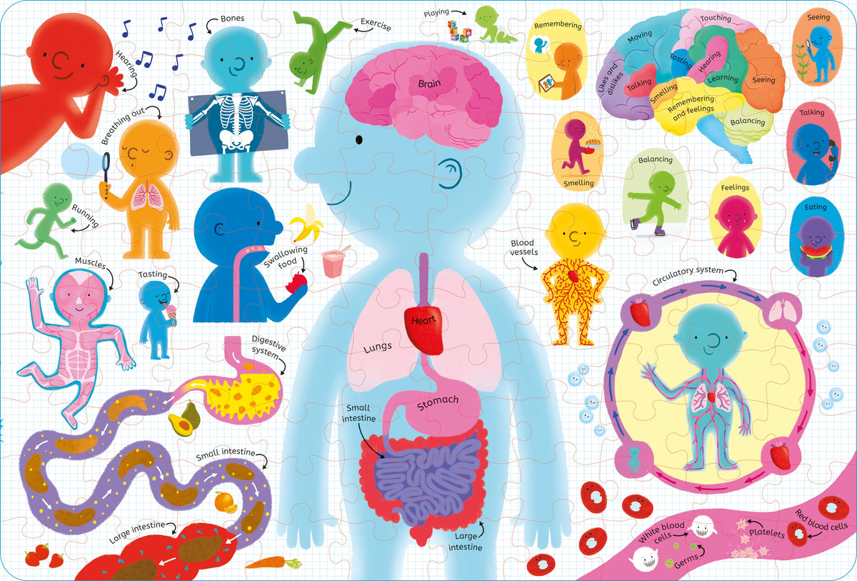 Usborne Book and Jigsaw Human Body interior 1 (ISBN 9781474985291) [onix-asset:72af52418a2d1f92dade490c0eb616509ac304bd674d08fce25cac52e92af1d5]