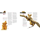 Face to Face with: Lions National Geographic