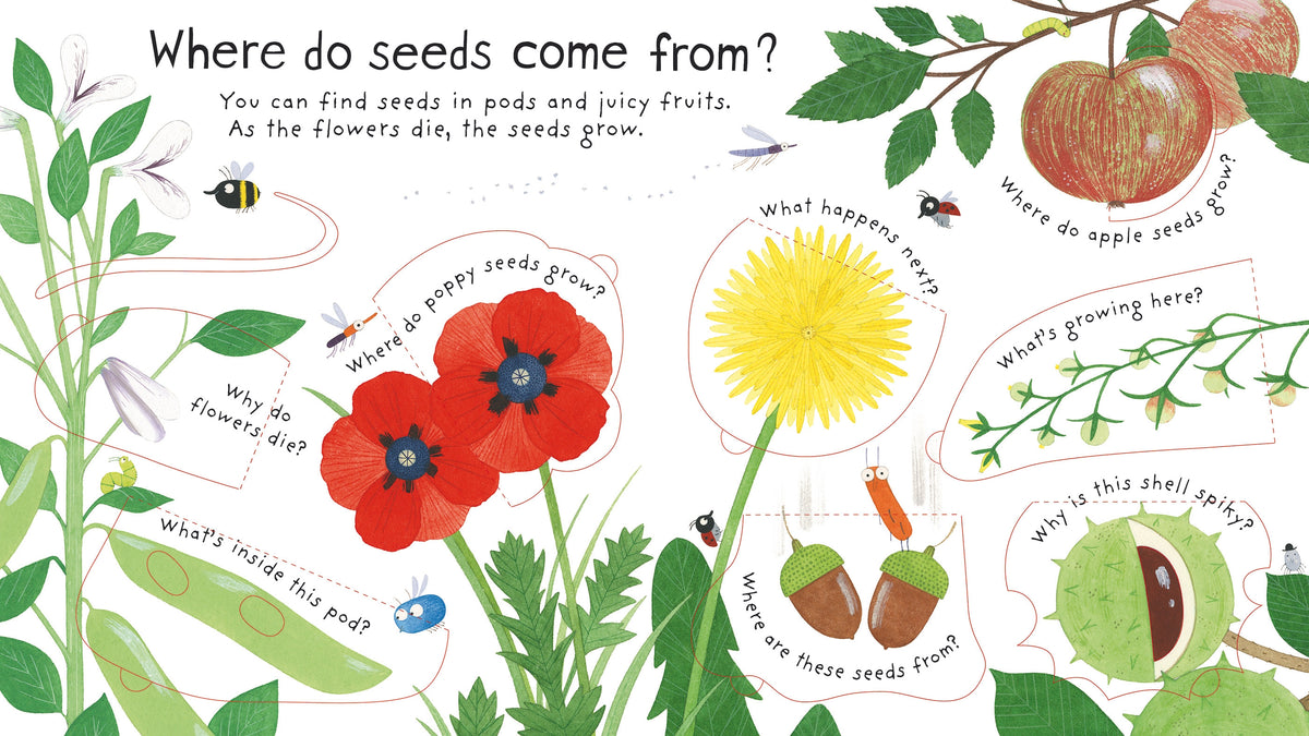First Questions and Answers: How do flowers grow? interior 1 (ISBN 9781409582137) [onix-asset:dd3f3b98ea7678344073d62a34a97d9a3d59402b5aee3a93de83d406d2a39c5a]