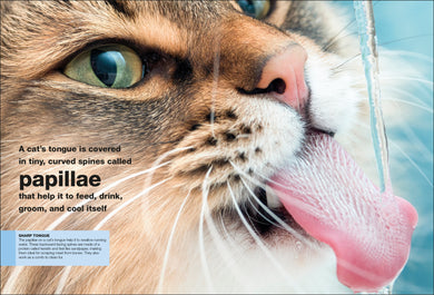 Cats interior 2 (ISBN 9780241413012) [onix-asset:bdca9beed0aba353f53c4cb34f3082d294a36316ab0b5d8a1cb26e537034a03d]