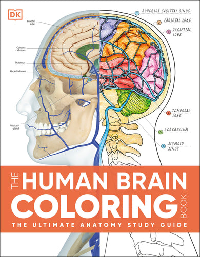The Human Brain Coloring Book cover (ISBN 9798217494316) [onix-asset:cdf3310c616f0c083cc460f080833edc9aca6332d7c5988d7df51e9634b9ecd1]
