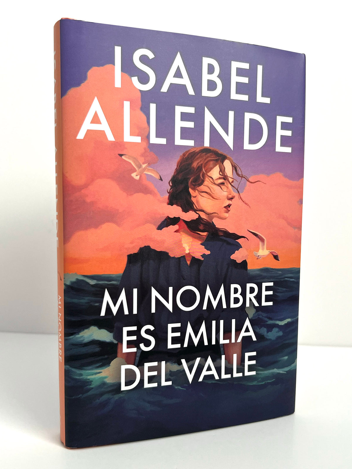 Mi nombre es Emilia del Valle / My Name Is Emilia del Valle interior 1 (ISBN 9798890983657) [onix:b8499178756b9a4437eca7a1d1fea516]