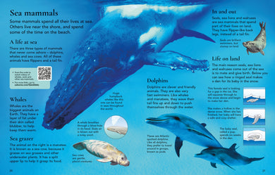 First Encyclopedia of Animals interior 1 (ISBN 9781836041641) [onix-asset:88d1f70bd22ddef93a6140d5428a055e08b60aef92f7d9c0a95ce8dd8db57b41]