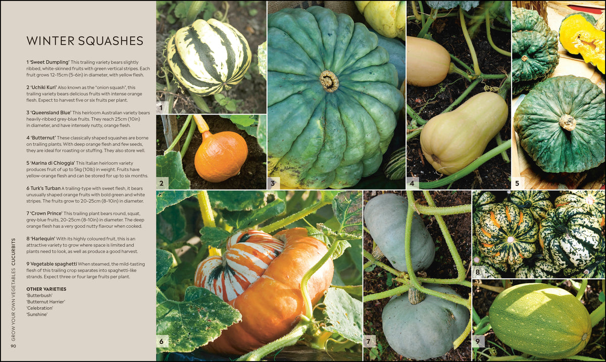 RHS Step-by-Step Veg Patch interior 4 (ISBN 9780241412411) [onix-asset:bfe7f832769a9e5bbbae9362af5f3c8992be4cc651f74a54f4de6a6f2f1e0604]