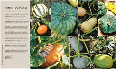 RHS Step-by-Step Veg Patch interior 4 (ISBN 9780241412411) [onix-asset:bfe7f832769a9e5bbbae9362af5f3c8992be4cc651f74a54f4de6a6f2f1e0604]