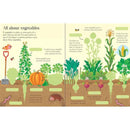 First Sticker Book Fruit and Vegetables Usborne