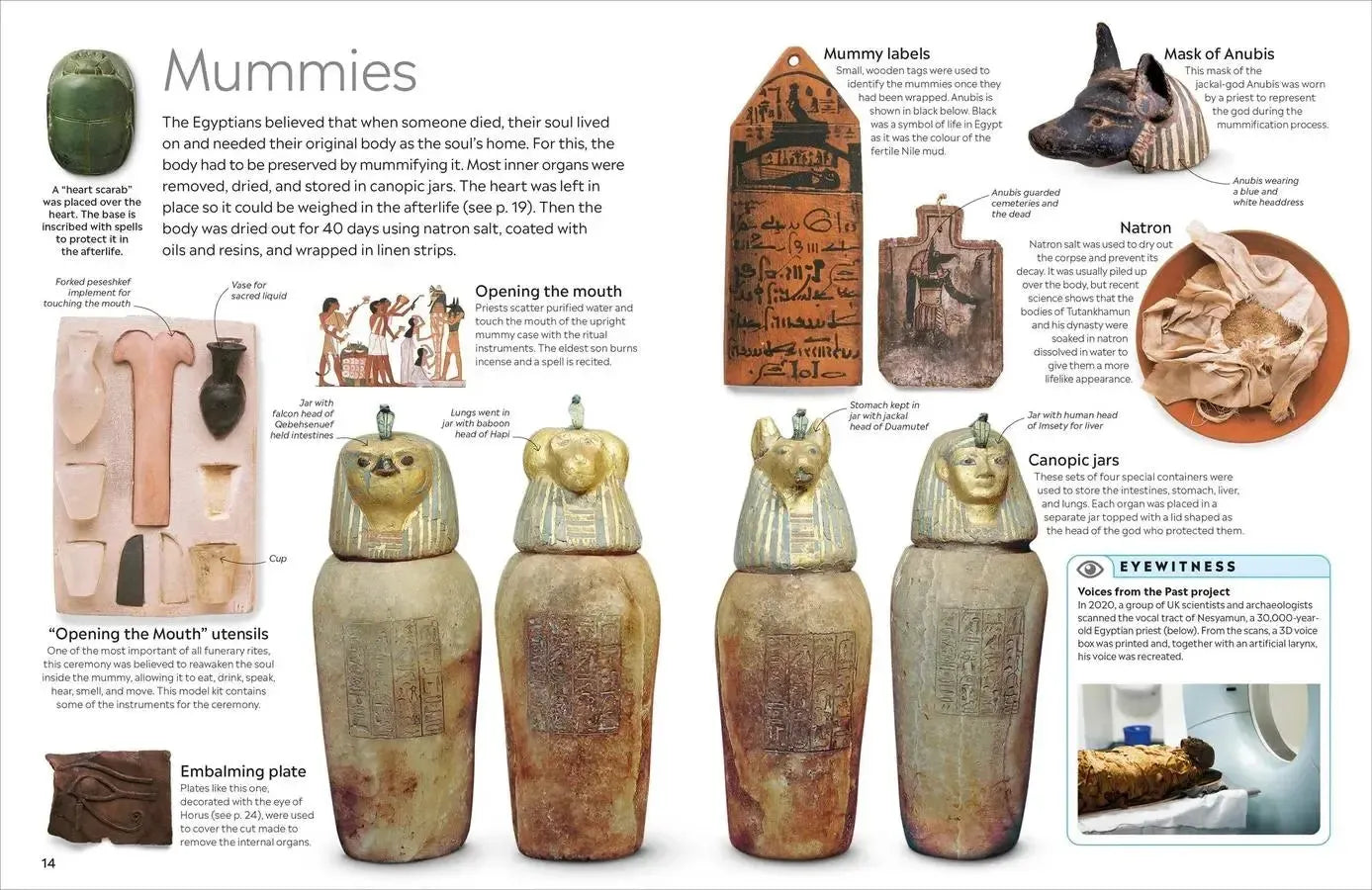Eyewitness Ancient Egypt-Children’s / Teenage general interest: History and Warfare-買書書 BuyBookBook