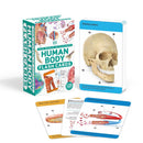 Our World in Pictures Human Body Flash Cards-Children’s / Teenage general interest: Science and technology-買書書 BuyBookBook