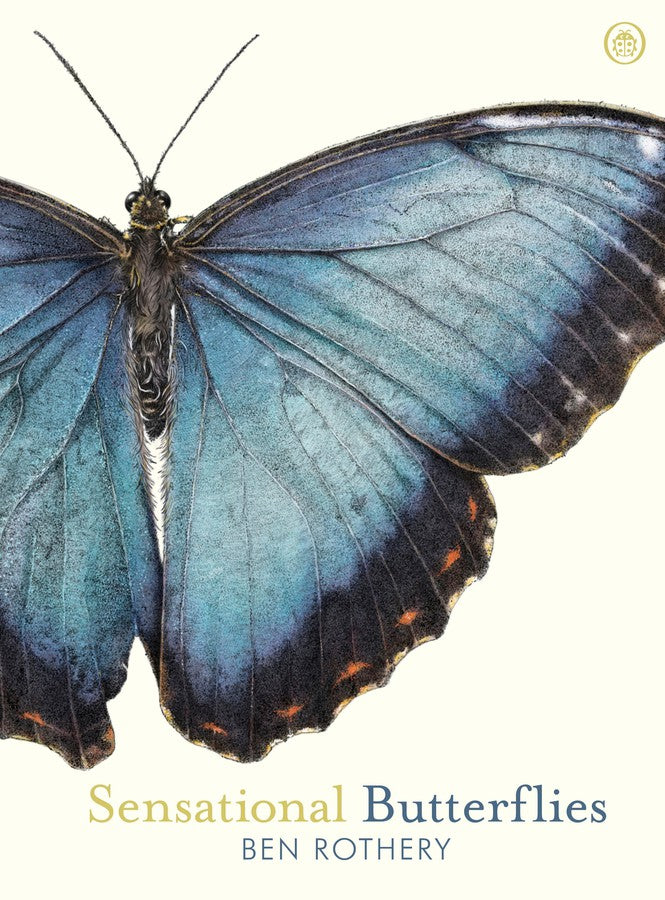 Sensational Butterflies-Children’s picture books-買書書 BuyBookBook