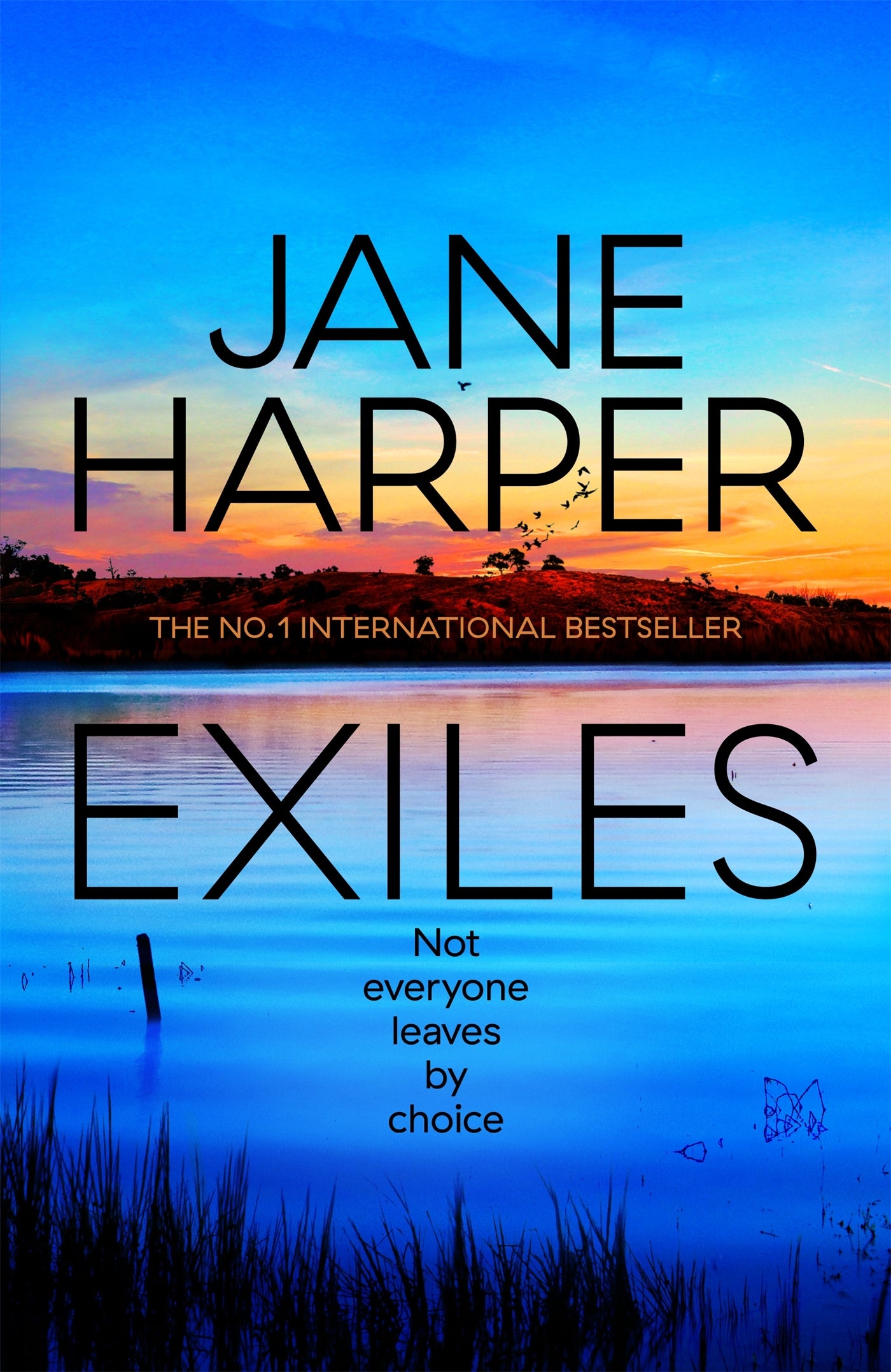 Exiles-Fiction: Crime and mystery-買書書 BuyBookBook