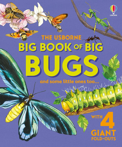 Big Book of Big Bugs-Children’s / Teenage general interest: Nature and animals-買書書 BuyBookBook