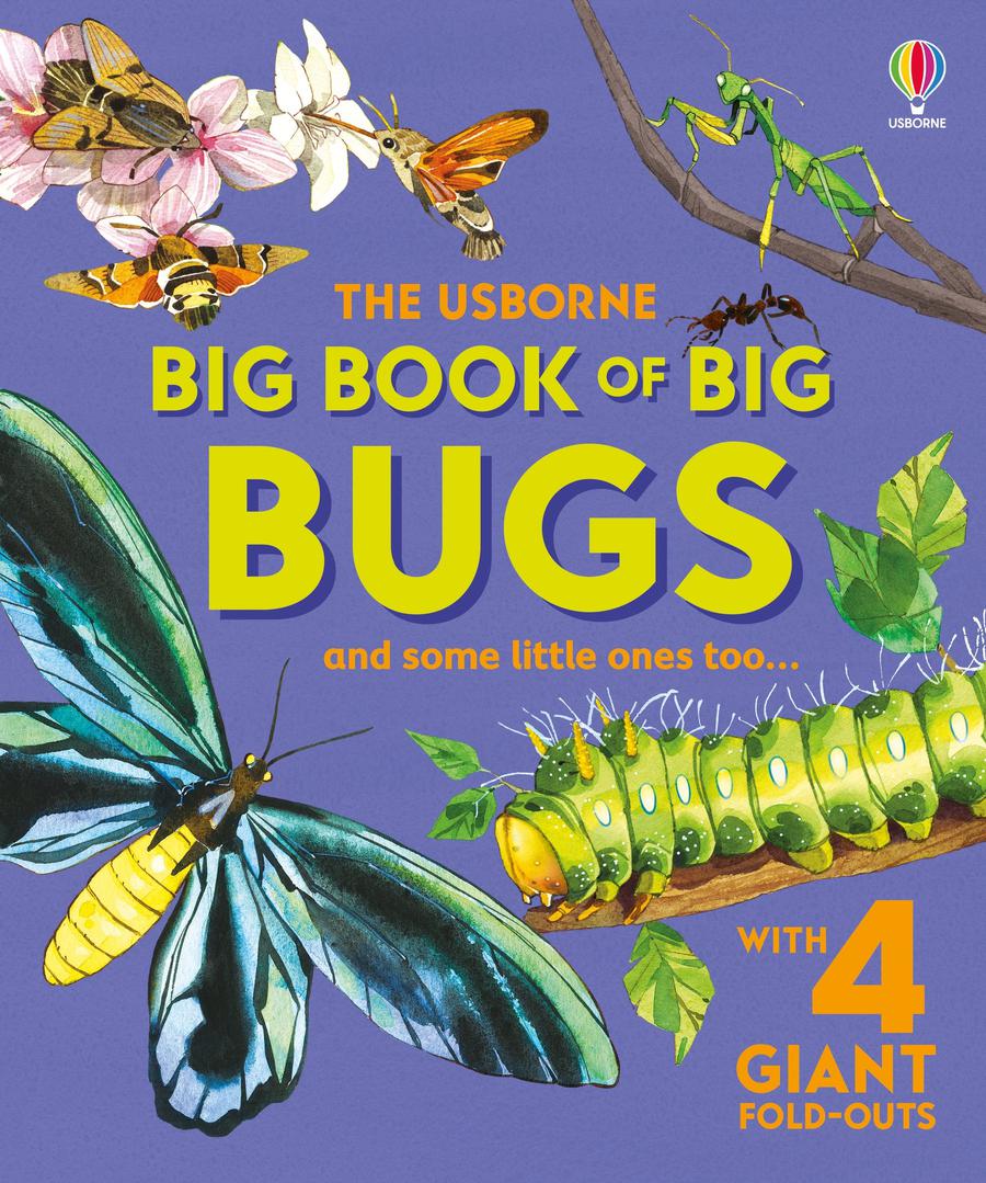 Big Book of Big Bugs-Children’s / Teenage general interest: Nature and animals-買書書 BuyBookBook