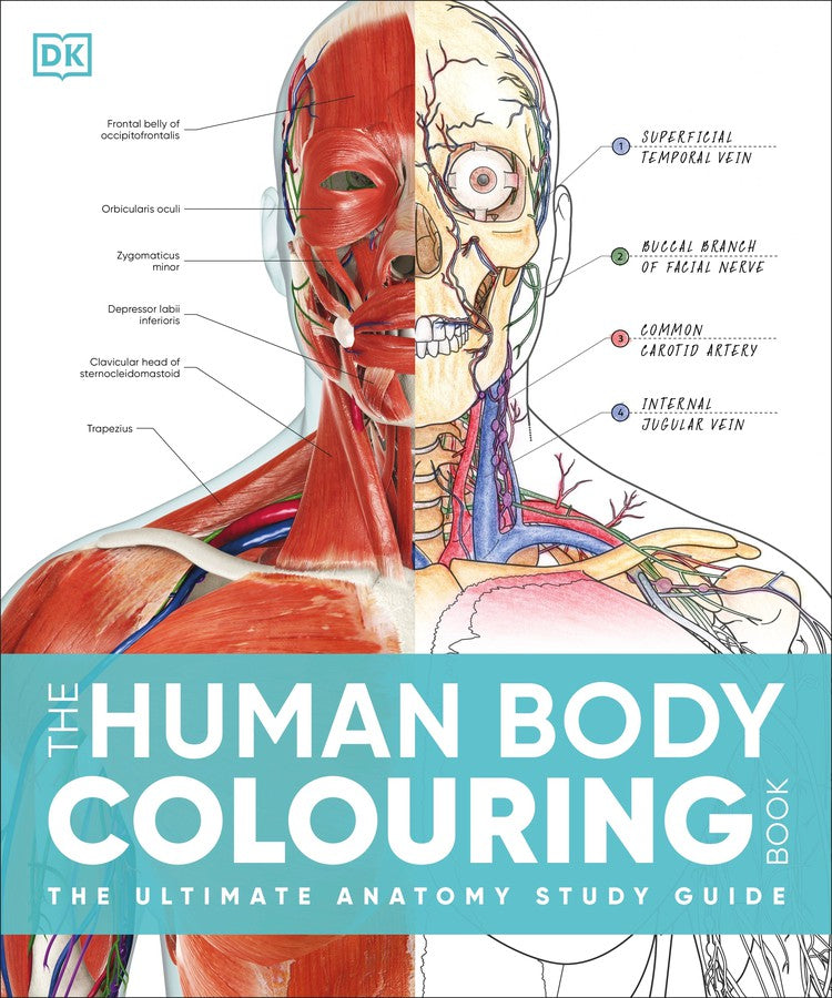 The Human Body Colouring Book-Human biology-買書書 BuyBookBook