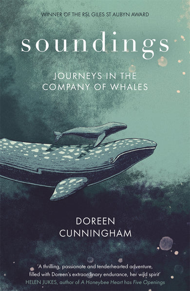 Cover of Soundings (ISBN 9780349014951)