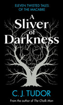 A Sliver of Darkness-Fiction: Modern and contemporary-買書書 BuyBookBook