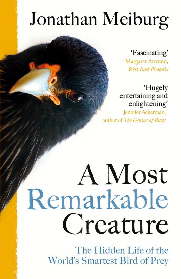 A Most Remarkable Creature-Nature and the natural world: general interest-買書書 BuyBookBook