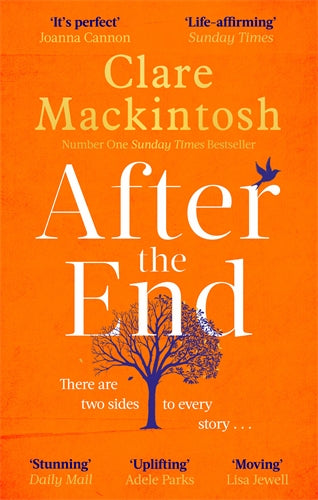 Cover of After the End (ISBN 9780751564914)