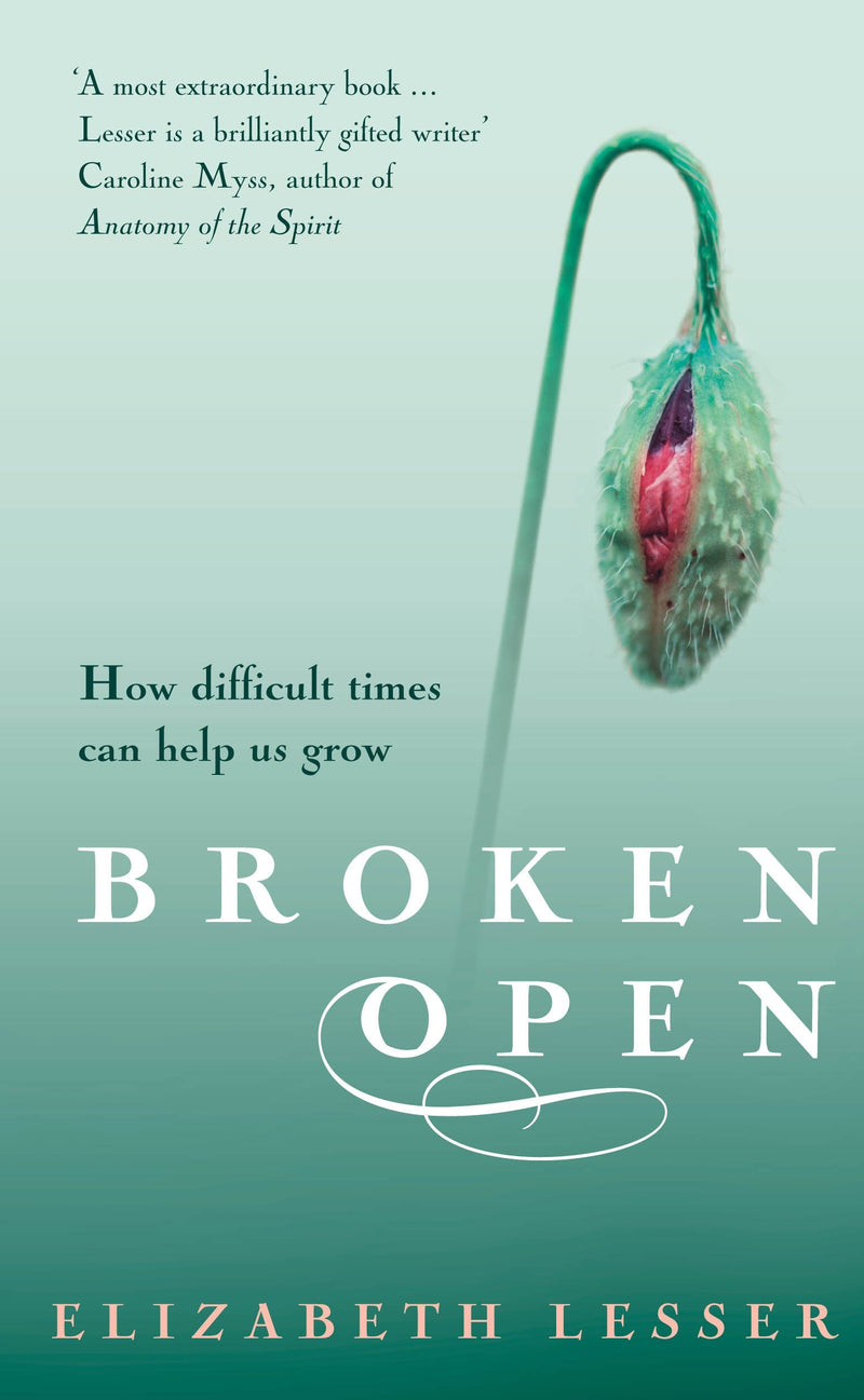 Broken Open-Self-help/ personal development/ practical advice-買書書 BuyBookBook