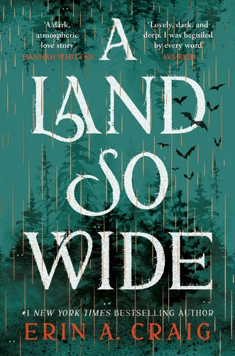 Cover of A Land So Wide (ISBN 9781035411078)
