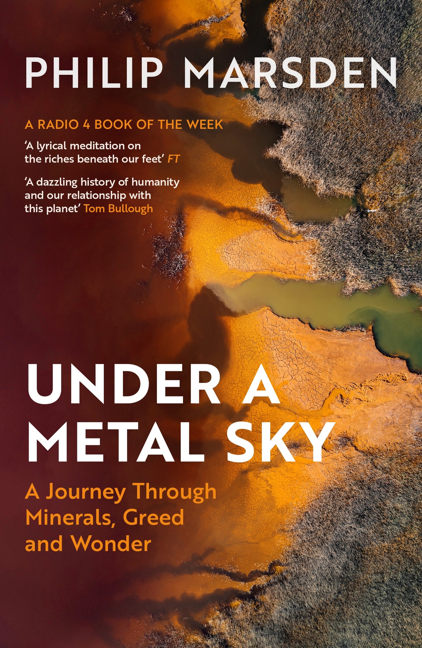 Under a Metal Sky