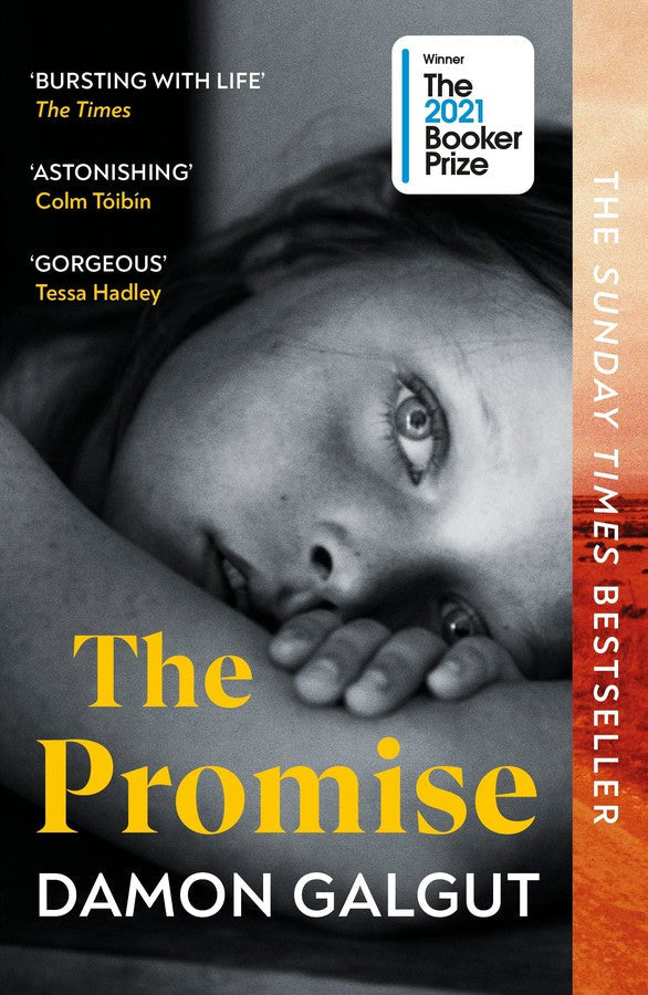 The Promise-Fiction: Modern and contemporary-買書書 BuyBookBook