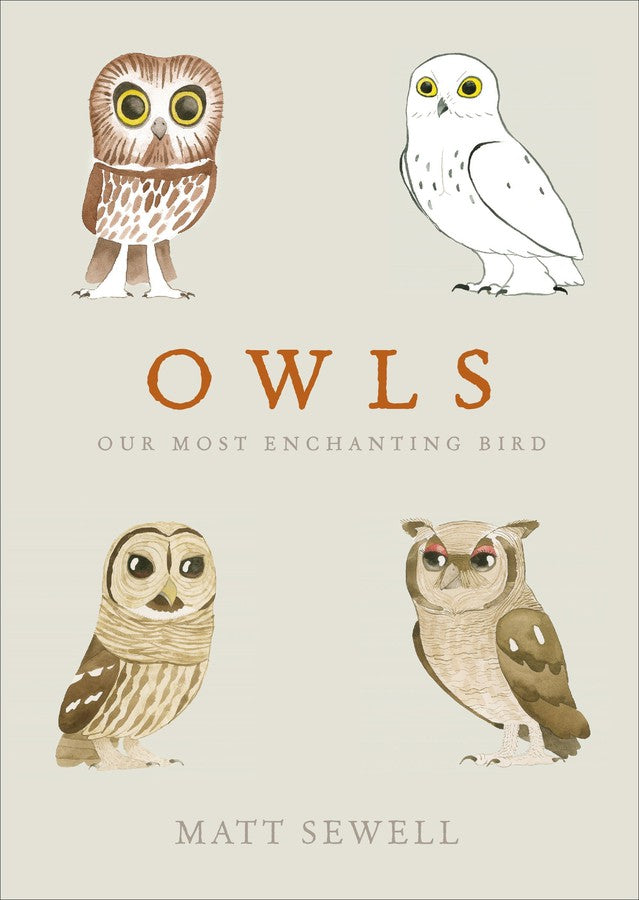 Owls-Lifestyle and Leisure-買書書 BuyBookBook