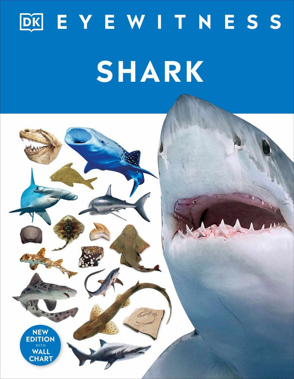 Shark-Children’s / Teenage general interest: Nature and animals-買書書 BuyBookBook