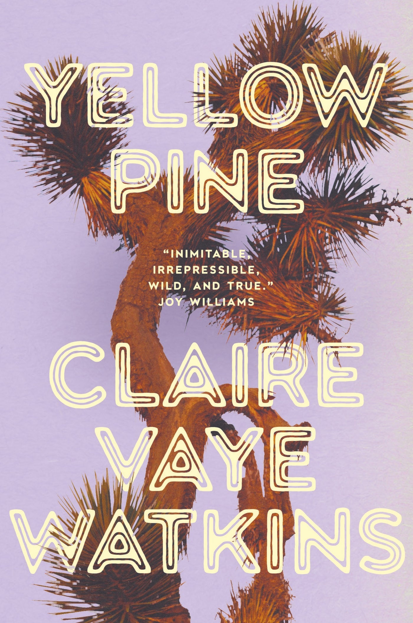 Yellow Pine