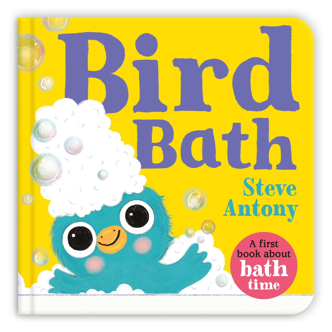 Bird Bath