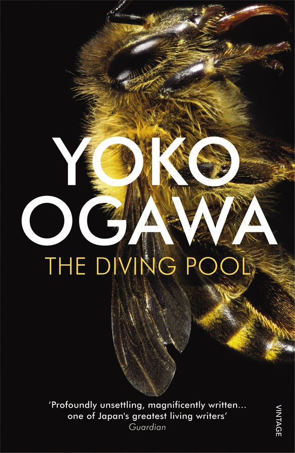 The Diving Pool-Fiction: Modern and contemporary-買書書 BuyBookBook