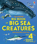 Big Book of Big Sea Creatures-Children’s / Teenage general interest: Nature and animals-買書書 BuyBookBook