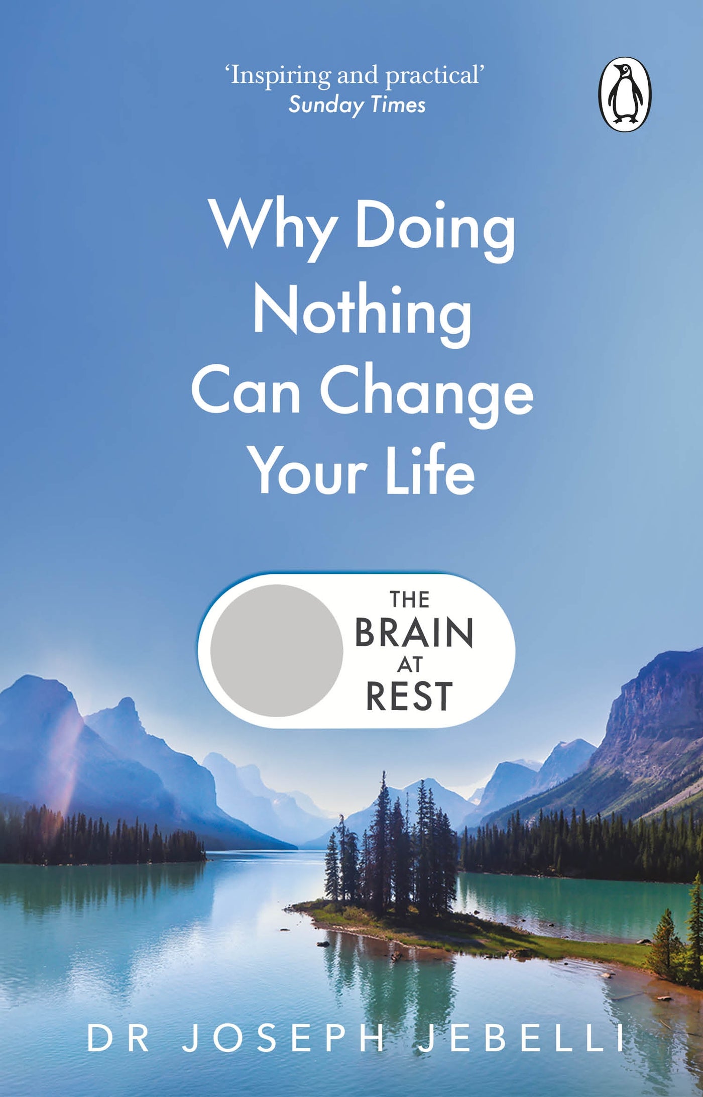 The Brain at Rest