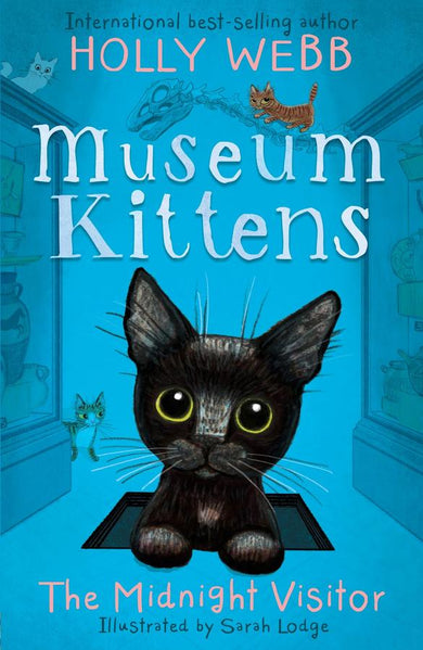 The Midnight Visitor-Children’s / Teenage fiction: Nature and animal stories-買書書 BuyBookBook