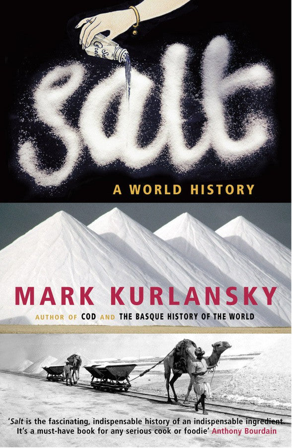 Salt-Society/ culture/ social sciences-買書書 BuyBookBook