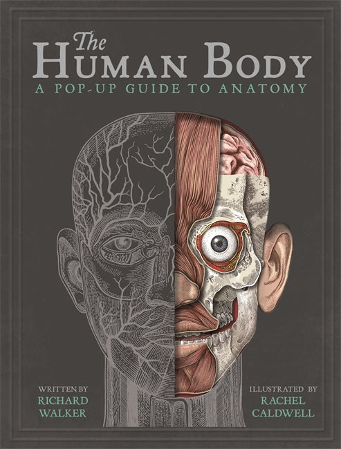 The Human Body-Children’s / Teenage general interest: Science and technology-買書書 BuyBookBook