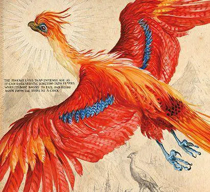 Harry Potter (#1-3) Illustrated Collection (3 Books) (J.K. Rowling) Bloomsbury