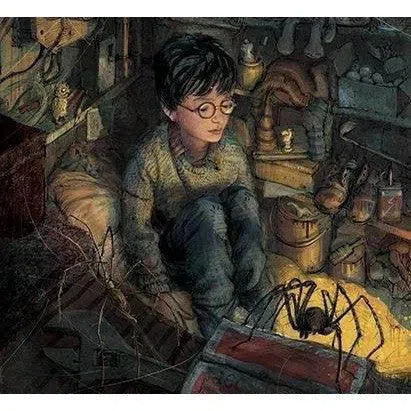 Harry Potter (正版) (#1) and the Philosopher's Stone Illustrated (Hardback) (J.K. Rowling) Bloomsbury