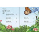 Illustrated Hans Christian Andersen's fairy tales (安徒生童話) Usborne