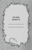 Dragon Towers: The Ghostly Surprise (Pip Bird)-Children's / Teenage fiction: Action and adventure stories-買書書 BuyBookBook