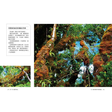BookImage ISBN 4719025013839 pos 07 cover 5ccfb01902