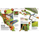 Knowledge Encyclopedia Animal (Hardback) DK UK