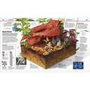 Knowledge Encyclopedia Science! (Hardback) DK UK