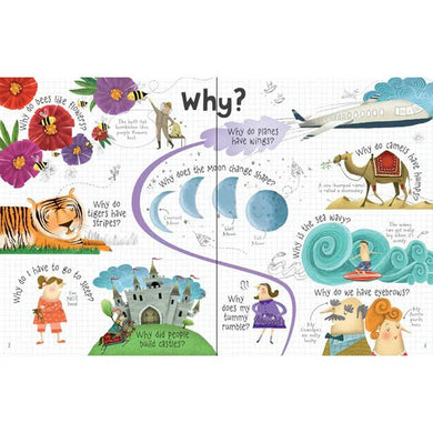 Lift-the-flap Questions and Answers Usborne