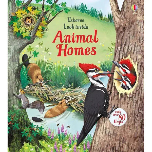 Look inside animal homes Usborne