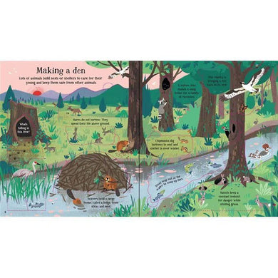 Look inside Nature Usborne