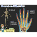 Magic School Bus Presents The Human Body Scholastic