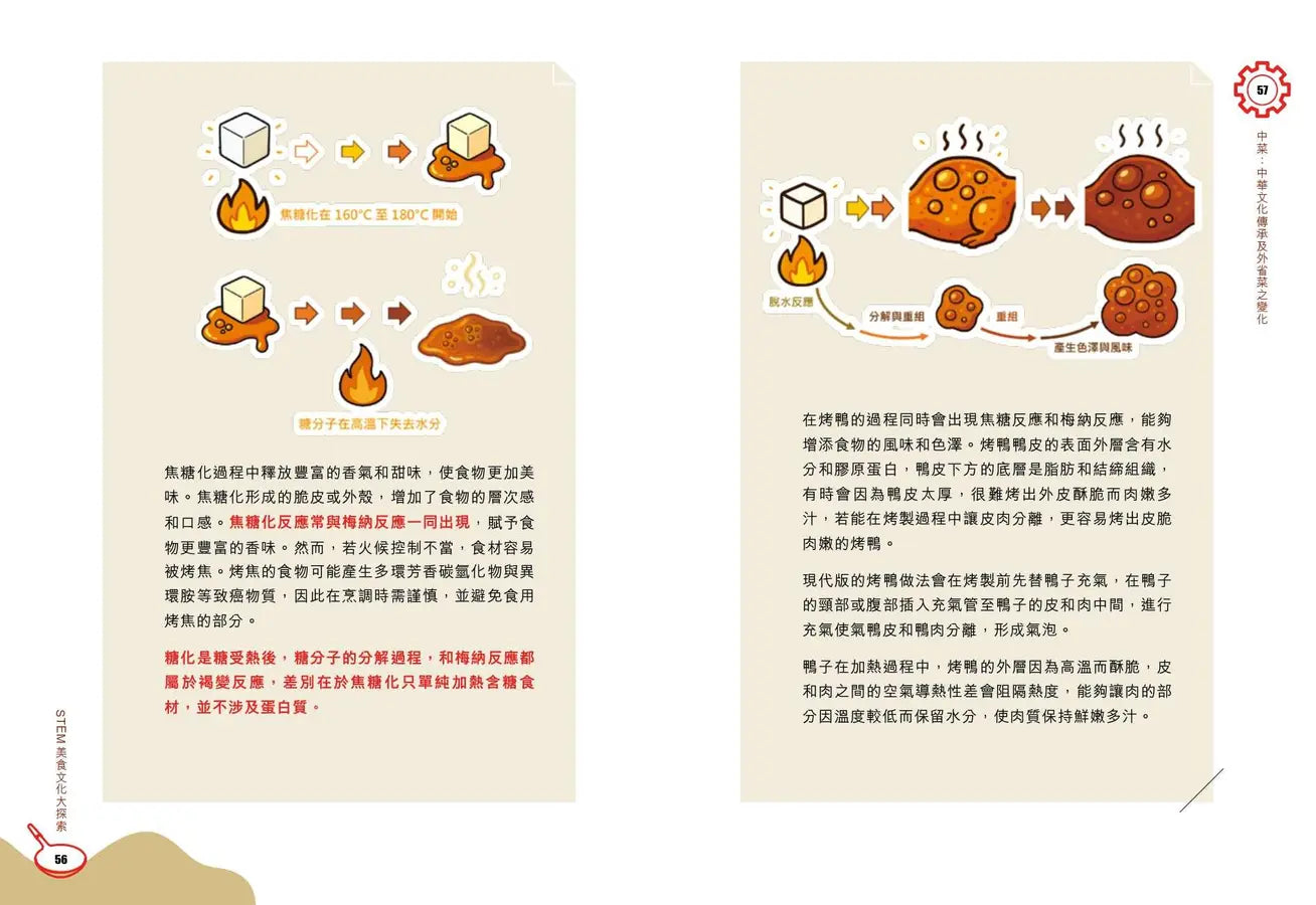 STEM美食文化大探索