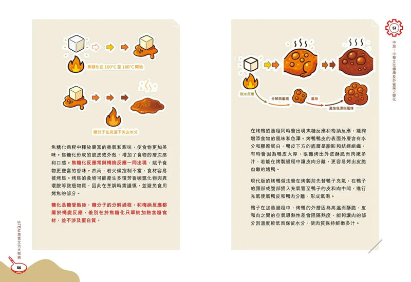 STEM美食文化大探索
